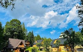 Niedźwiedziówka
